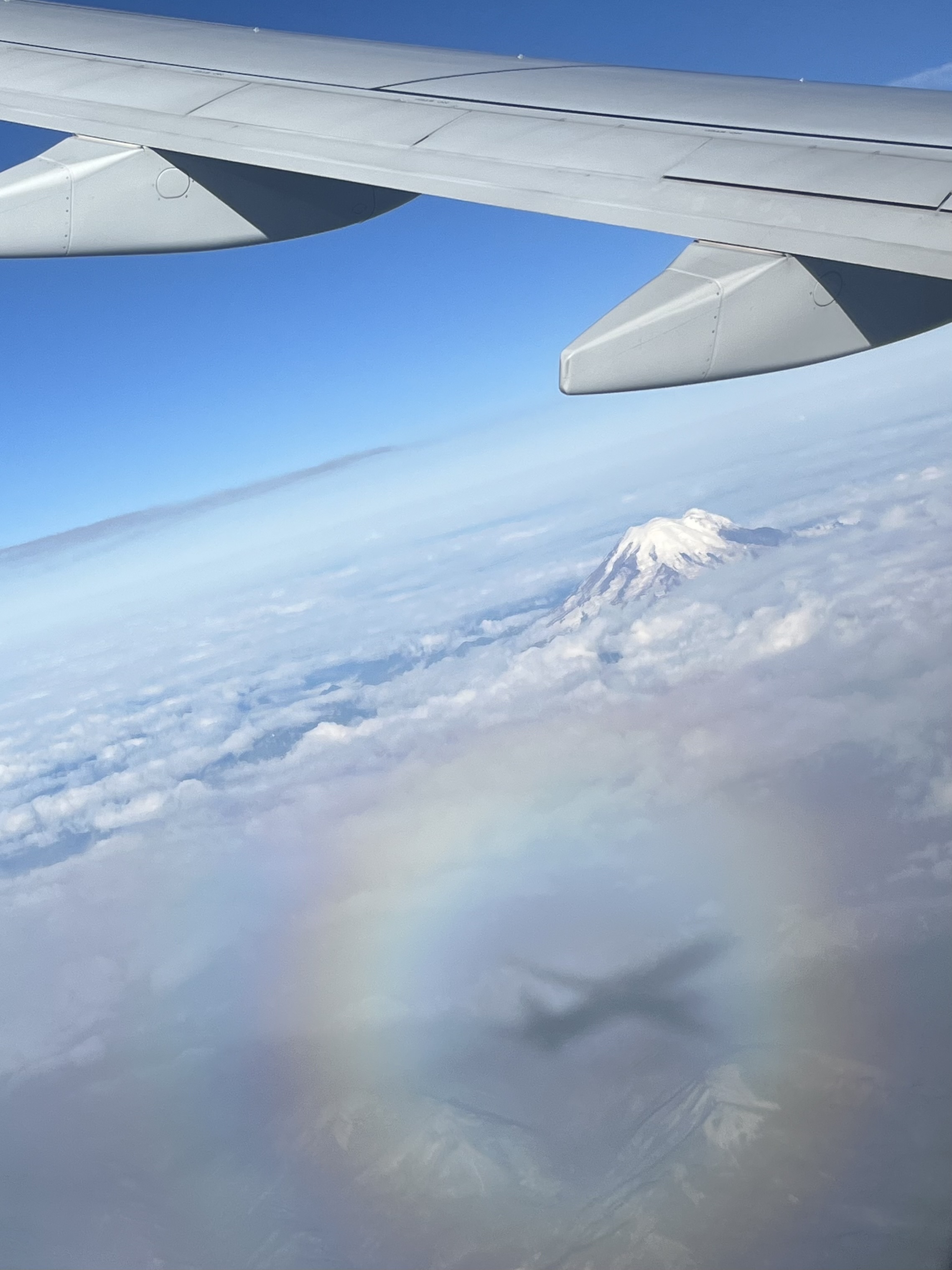 notebook page with italian words on it