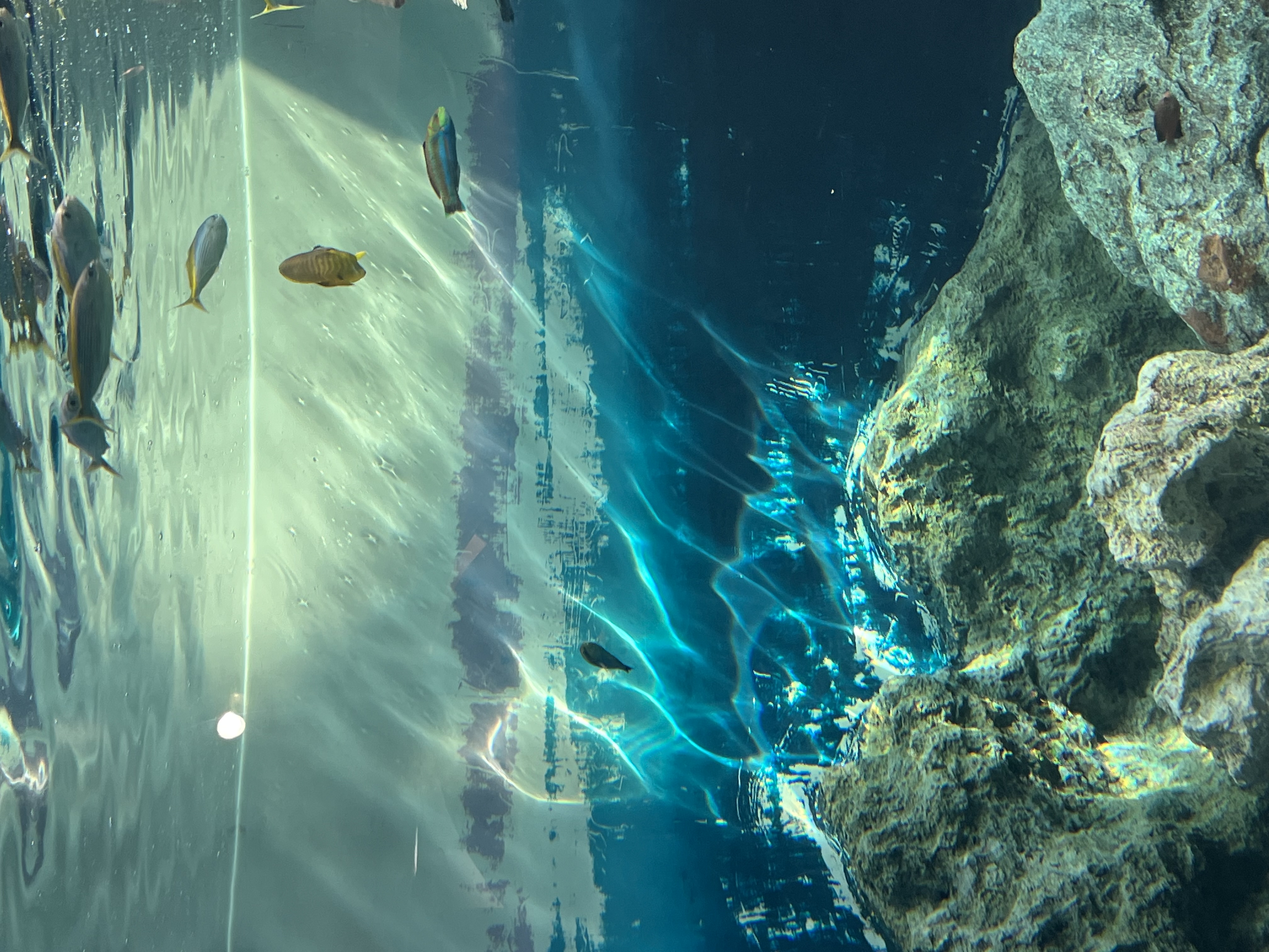 notebook page with italian words on it